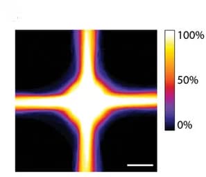 Open access visualization of Heatmap, Bright-Field Images, Scaffold, hESC, EB Tissue