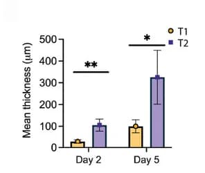 Open access visualization of Bar Plot, Error Bars, Tissue Thickness, Scaffold, EB Tissue