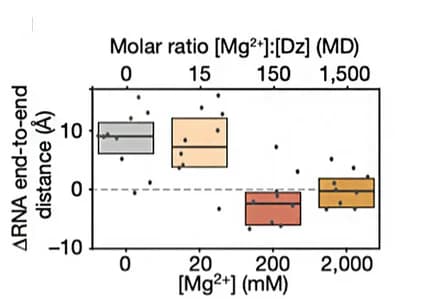 Open access visualization of Box Plot, Scatter Plot, Metal Ions, DNAzymes, DNAzyme Structure