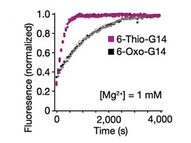 Open access visualization of Line Plot, 6-thio-G14, Mg2+