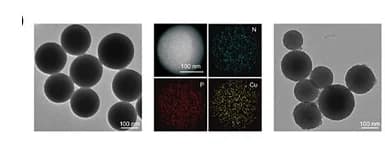 Open access visualization of Microscopy, DNAzyme/Cu+composite, TEM