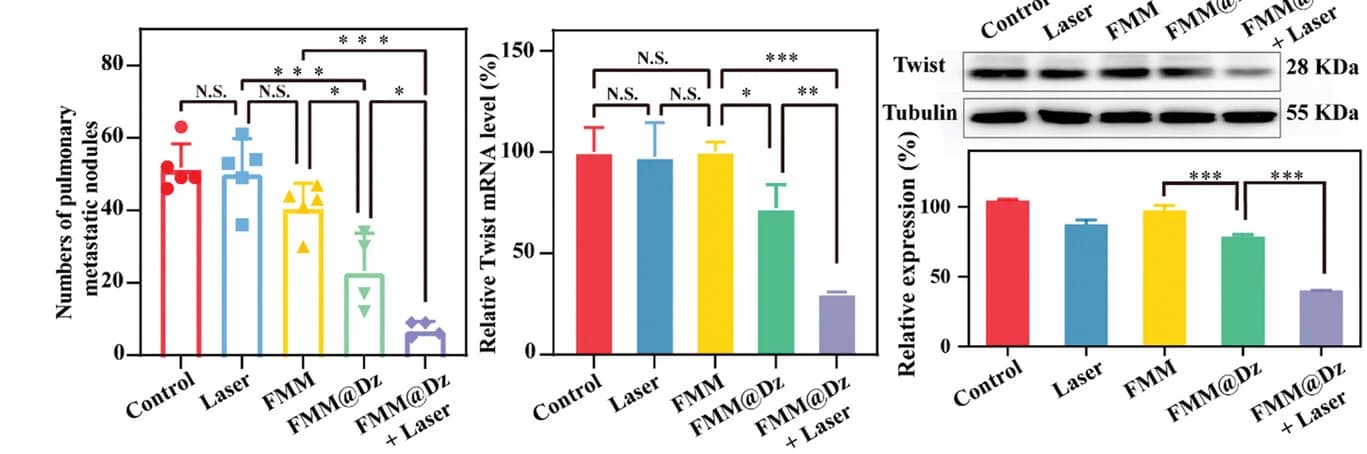Open access visualization of Bar Plot, Error Bars, Gel, PCR, Western Blot