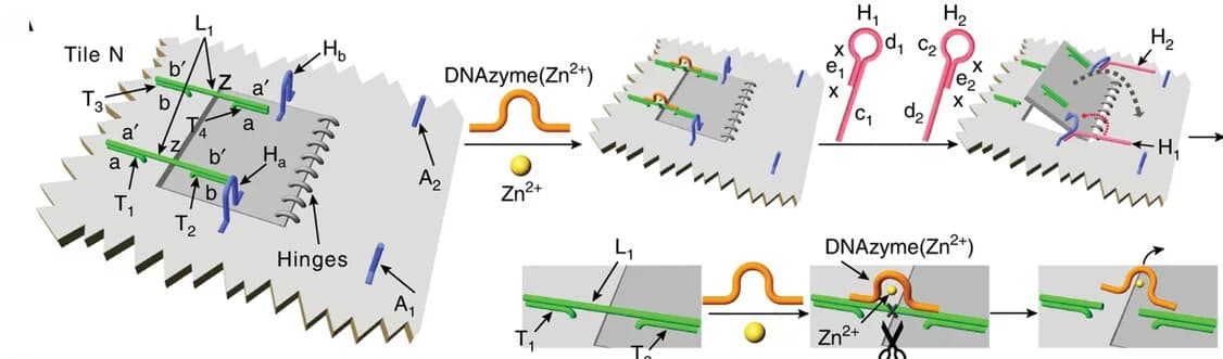Open access visualization of Workflow, Illustration, DNAzyme, Nanopores, Origami