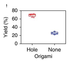 Open access visualization of Box Plot, Aptamer, DNAzyme, Complexes, Cancer