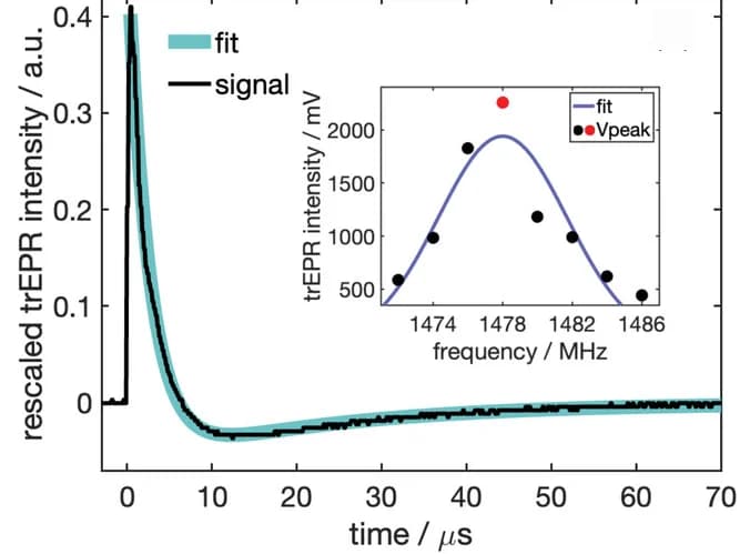 Open access visualization of Line Plot, Scatter Plot, ZF-trEPR, DAP:PTP, Spin Dynamics