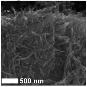 Open access visualization of Microscopy, EDS, Ca-N3O, Maps