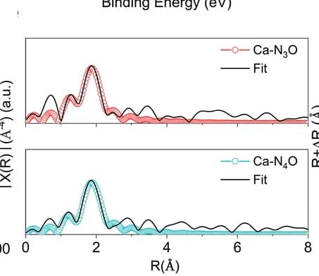Open access visualization of Line Plot, EXAFS, Catalyst
