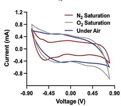 Open access visualization of Line Plot, Cyclic Voltammetry, Nafion, Platinum Nanoparticles, Cathodes