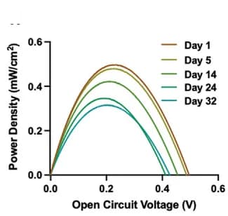 Open access visualization of Line Plot, Time Periods, KOH
