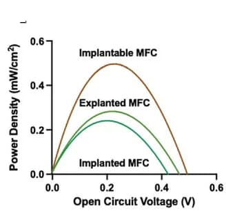 Open access visualization of Line Plot, Power Densities, Implantable MFC, In Vitro, Mouse