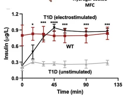 Open access visualization of Line Plot, Error Bars, Blood-Insulin Levels, Blood-Glucose Levels, Wild-Type Mice