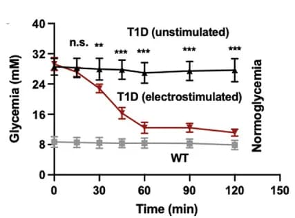 Open access visualization of Line Plot, Error Bars, Blood-Insulin Levels, Blood-Glucose Levels, Wild-Type Mice