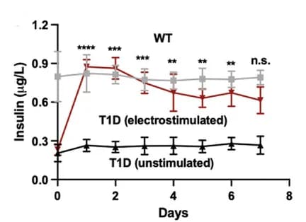 Open access visualization of Line Plot, Error Bars, Blood-Insulin, Blood-Glucose, Homeostasis