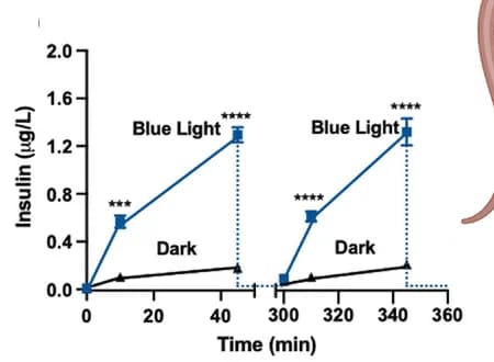 Open access visualization of Line Plot, Error Bars, Line Step, Metabolic Fuel Cell, Insulin Release