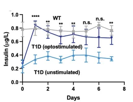Open access visualization of Line Plot, Error Bars, Blood-insulin, Blood-glucose Homeostasis, Wild-Type Mice