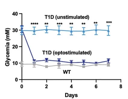 Open access visualization of Line Plot, Error Bars, Blood-insulin, Blood-glucose Homeostasis, Wild-Type Mice