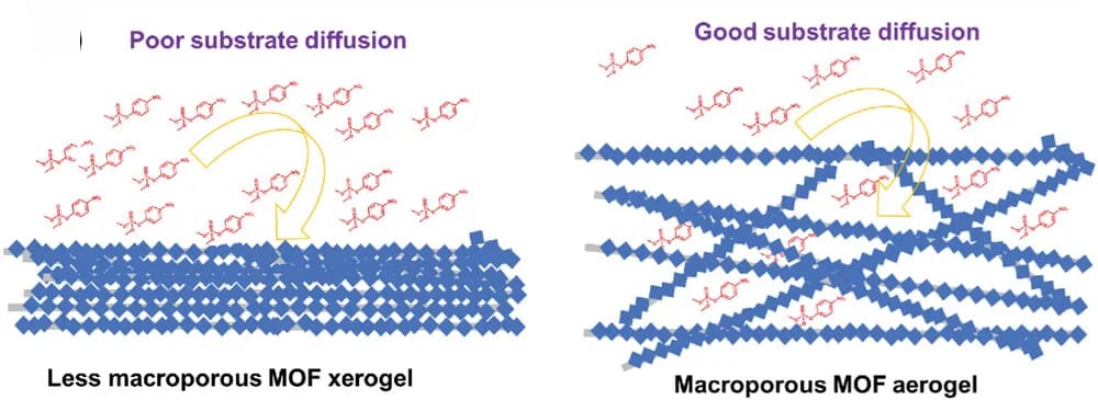 Open access visualization of Illustration, Diffusion, Nanozyme, Xerogel, Aerogel