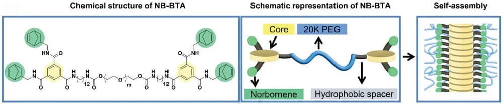 Open access visualization of Chemical Structure, Illustration, NB BTA Macromonomer, Norbornene, PEG