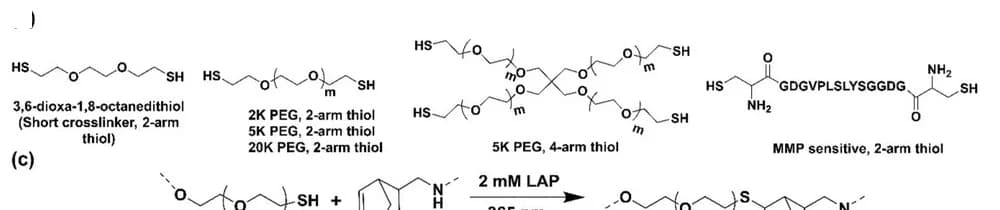 Open access visualization of Chemical Structure, Thiol Cross-Linkers, Supramolecular Assemblies, Cross-Linking