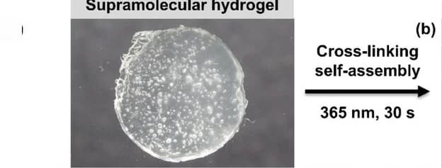 Open access visualization of Photo, NB BTA Hydrogel, Optical Image
