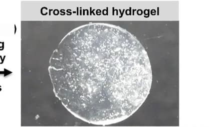 Open access visualization of Photo, NB BTA Hydrogel, Optical Image