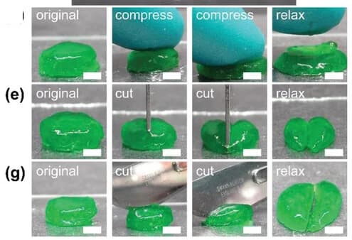 Open access visualization of Photo, Supramolecular Hydrogel, Optical Image, Compression