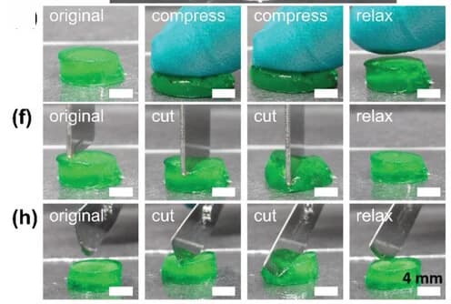 Open access visualization of Photo, Cross-linked Hydrogel, Optical Image, Compression
