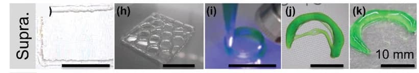 Open access visualization of Photo, Supramolecular Hydrogel, Single Filament
