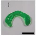 Open access visualization of Photo, Meniscus Cartilage Model, Hydrogel, Cross-linking, 3D Printing