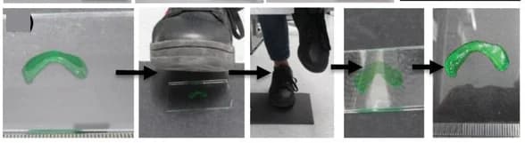 Open access visualization of Workflow, Illustration, Meniscus Cartilage Model, Recovery, Weight Exertion