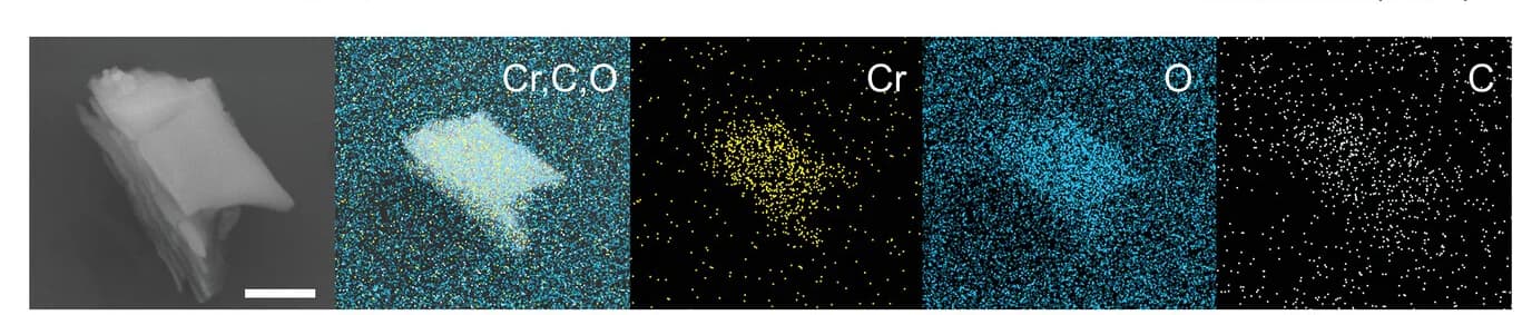 Open access visualization of Microscopy, Scatter Plot, SEM, EDS Images, Cr2O3/rGO