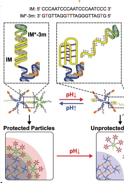 Open access visualization of Workflow, Illustration, ICMs, CMs, pH