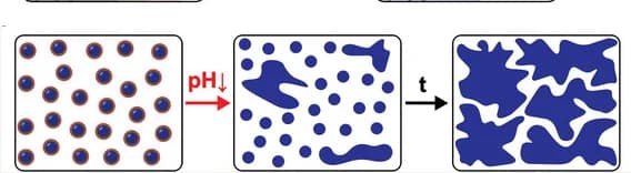 Open access visualization of Illustration, Workflow, pH-Induced Aggregation, Particle Aggregation, i-motif Formation