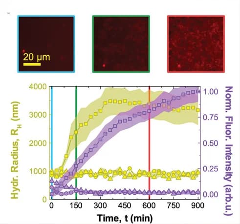 Open access visualization of Line Plot, Error Bars, Microscopy, Particle Aggregation, pH Decrease