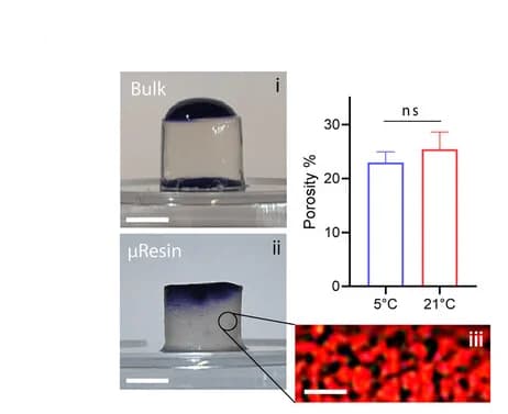 Open access visualization of Bar Plot, Error Bars, Microscopy, Photo, Porosity