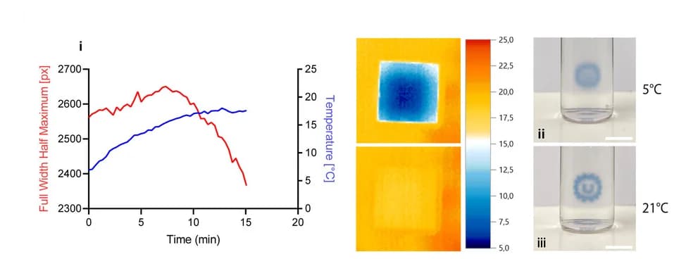 Open access visualization of Line Plot, Heatmap, Photo, Optical Properties, Light Scattering