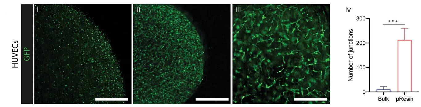 Open access visualization of Microscopy, Bar Plot, Error Bars, HUVEC Cells, Cell Density