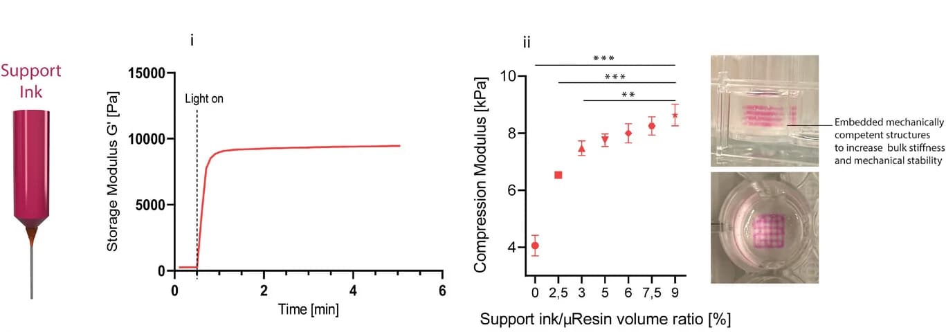 Open access visualization of Line Plot, Error Bars, Support Ink, Crosslinking Kinetics, Compressive Mechanical Properties