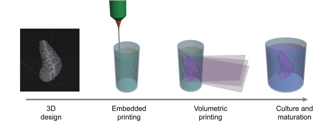 Open access visualization of Workflow, Illustration, Extrusion Bioprinting, Volumetric Printing, Cell Type