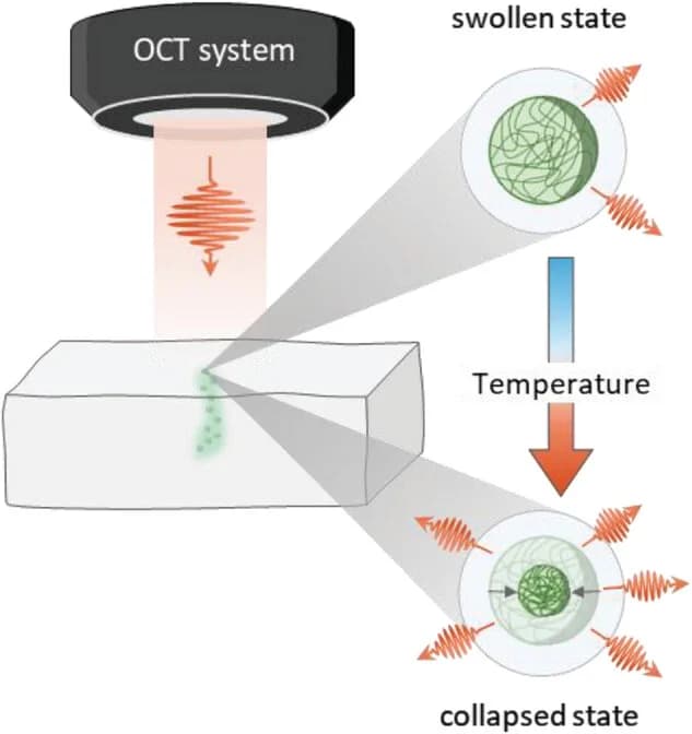 Open access visualization of Illustration, Workflow, PNIPAM-NGs, OCT, Refractive Index