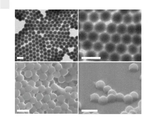 Open access visualization of Microscopy, TEM, SEM, PNIPAM-NGs