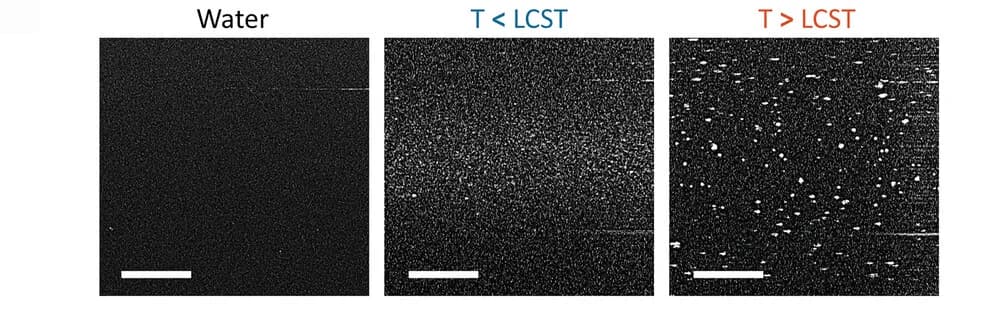 Open access visualization of Microscopy, OCT images, PNIPAM-NGs, Aqueous dispersion, Temperature
