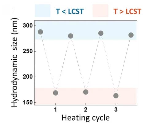 Open access visualization of Line Plot, Hydrodynamic size, PNIPAM-NGs, Nanogels, Heating/cooling cycles
