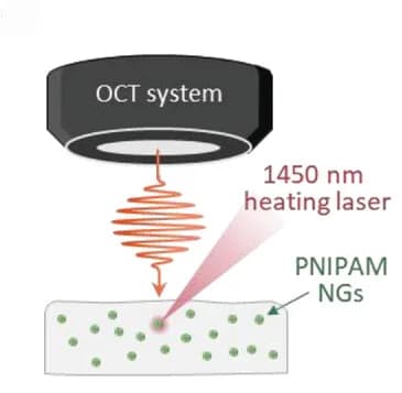 Open access visualization of Illustration, Photothermal, Thermal Gradients, Tissues