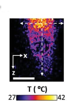 Open access visualization of Heatmap, Cross-Sectional View, Thermal Image, Laser Spot
