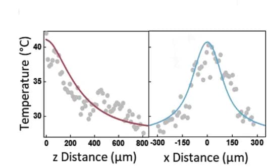 Open access visualization of Scatter Plot, Line Plot, Regression Plot, Temperature Profile, Experimental Data