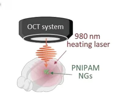Open access visualization of Illustration, Experimental Setup, Photothermal Treatment, Brain, Thermal Feedback