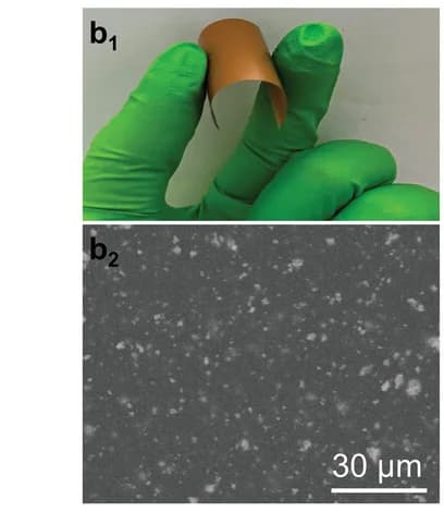 Open access visualization of Photo, Microscopy, Surface Morphology, BFO/P(VDF-TrFE) Composite Film, Photograph