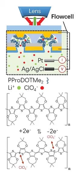 Open access visualization of Illustration, Chemical Structure, Redox Reactions, Electropolymerization, Reflection