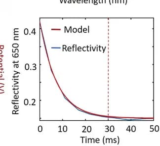 Open access visualization of Line Plot, Reflectivity Change, Wavelength, Time, Color Modulation